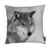 Kissen "The Wolf" In Grau -Heimtextilien Geschäft juniqe kissen the wolf in grau